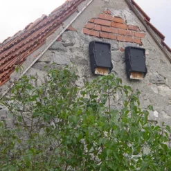 Schwegler 1FF Bat Box 9 Schwegler 1FF Bat Box -ARK WILDLIFE Sales 1FF batboxes.jpg