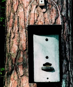 Schwegler 1FS Large Colony Bat Box