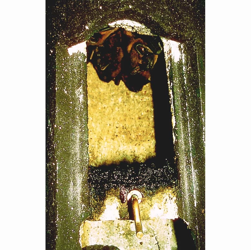 Schwegler 2FN Bat Box Special Bat Box 4 Schwegler 2FN Bat Box Special Bat Box - Image 2