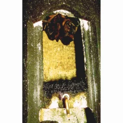 Schwegler 2F Bat Box -ARK WILDLIFE Sales 2FN Special Bat Box.jpg