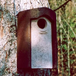 Schwegler 3S Starling Nestbox