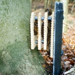 Schwegler 1FW Bat Hibernation Box -ARK WILDLIFE Sales Bat Hibernation Box.jpg