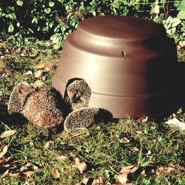 Schwegler Hedgehog Dome 4 Schwegler Hedgehog Dome - Image 2