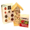 Ladybird Lovers Pack -ARK WILDLIFE Sales Ladybird House Gift Pack.jpg
