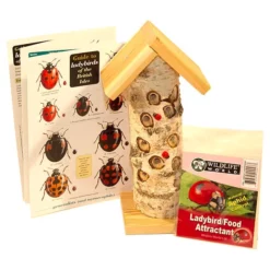 Ladybird Lovers Pack