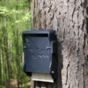 Schwegler 1FF Bat Box -ARK WILDLIFE Sales Schwegler 1FF.jpg