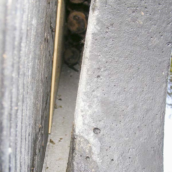 Schwegler 1FTH Universal Bat Summer Roost (light Grey) 3 Schwegler 1FTH Universal Bat Summer Roost (light Grey)