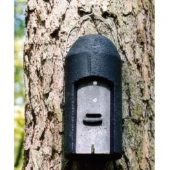 Schwegler 1FD Bat Box