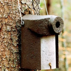 Schwegler 3SV Nuthatch Nestbox - 34mm