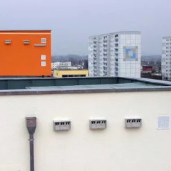 Schwegler 1SP Nest Box - Sparrow Terrace - Grey -ARK WILDLIFE Sales Sparrow Terrace 1SP Insitu.jpg