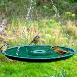 Bird Bath -ARK WILDLIFE Sales bird bath hanging.jpg