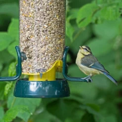 Big Easy Seed Feeders Standard -ARK WILDLIFE Sales bird seed feeder big easy.jpg