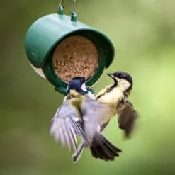Flutter Butter Pod Refills Fruity X 12 -ARK WILDLIFE Sales birds peanut butter feeder.jpg