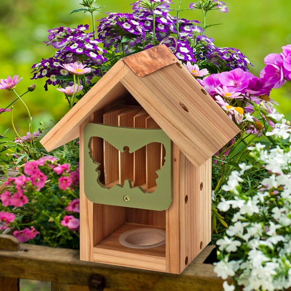 Butterfly Barn 4 Butterfly Barn - Image 2