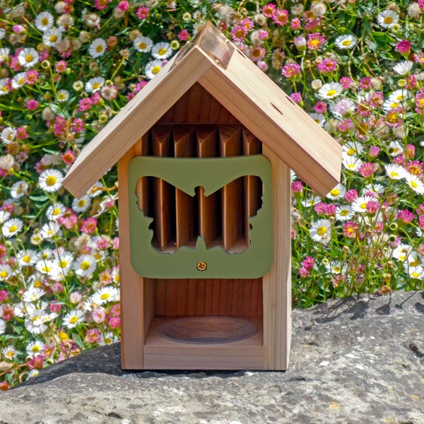 Butterfly Barn 3 Butterfly Barn