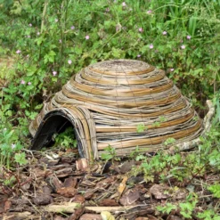 Dome Hedgehog House -ARK WILDLIFE Sales dome house.jpg