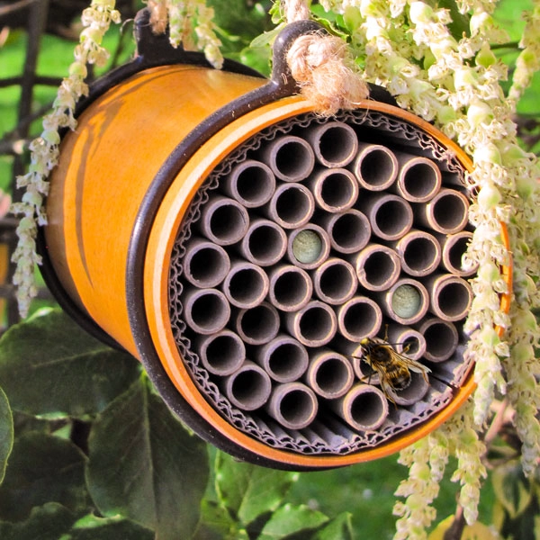 Front Page 38 Front Page -ARK WILDLIFE Sales eco leafcutter bee house.jpg