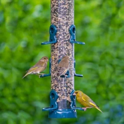 Flo™ Festival Seed Feeders Standard -ARK WILDLIFE Sales flo festival green.jpg