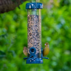Flo™ Festival Seed Feeders Standard -ARK WILDLIFE Sales flo festival hgreen2.jpg