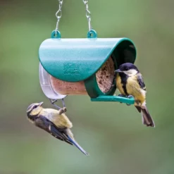 Flutter Butter Pod Refills Buggy X 12 -ARK WILDLIFE Sales flutter butter feeder for birds.jpg 1