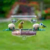Complete Window Feeder With 2x Fat Ball Holders -ARK WILDLIFE Sales meripac complete window feeder.jpg