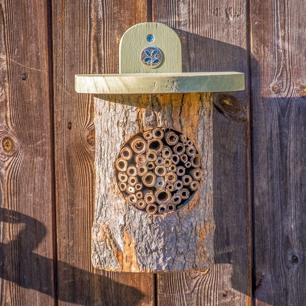 Natural Bee Log 4 Natural Bee Log - Image 2