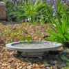 Oasis Bird Bath & Water Drinker -ARK WILDLIFE Sales oasis2 water drinker.jpg