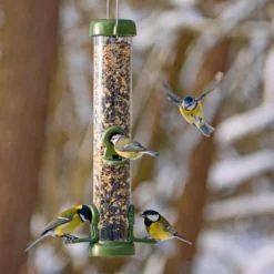 Ring-Pull™ Click Seed Feeder Standard -ARK WILDLIFE Sales ring pull click great tits.jpg