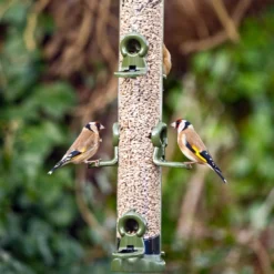 Ring-Pull™ Click Seed Feeder Standard -ARK WILDLIFE Sales rpc goldfinches.jpg