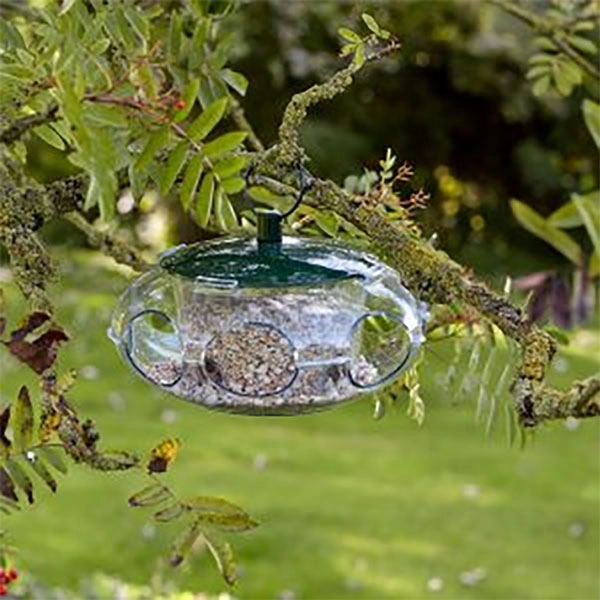 Small Bird Seed Feeder 4 Small Bird Seed Feeder - Image 2