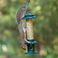 Front Page 6 Squirrel Buster Evolution Seed Feeder