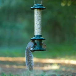 Front Page -ARK WILDLIFE Sales squirrel buster evolution seed feeder.jpg