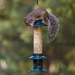Squirrel Buster Evolution Seed Feeder -ARK WILDLIFE Sales squirrel buster evolution top.jpg