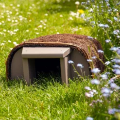 Hedgehog Timeless Haus -ARK WILDLIFE Sales wildlife world hedgehog haus.jpg